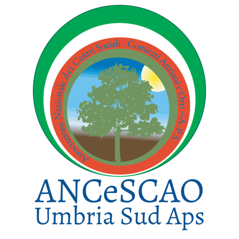 realizzazione-sito-web-ancescao-terni-gst-consulting-terni-agenzia-comunicazione-pubblicita-brand-digital-marketing